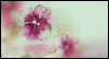 A Simple Hello --  eCard from Yahoo! Greetings