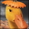 Thmiling Pumpkins --  project from Yahoo! Greetings