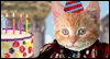 Medieval Birthday Wish -- Pets Birthday eCard from Yahoo! Greetings