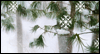 Winter Beauty (Personalized) -- Celebrate Winter eCard from Yahoo! Greetings