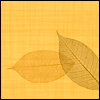 Thankful for Your Friendship -- Religious Thanksgiving Greeting Cards project from Yahoo! Greetings