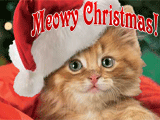 Karoling Kittens 