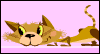 Congrats On Your New Cat -- Pets Congratulations eCard from Yahoo! Greetings