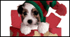 It's The Little Surprises: Free Christmas ecard from Egreetings