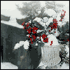 A Year of Good Things -- New Years Greeting Cards for Anyone project from Yahoo! Greetings