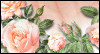 Valentine's Day and Always: Free Valentine's Day ecard from Egreetings