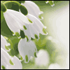 Others Share Your Loss -- Loss of Loved Ones Sympathy Greeting Cards project from Yahoo! Greetings