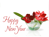 Wishing You Good Things 