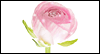 Hello, Friend: Free  ecard from Egreetings