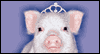 Pig Out: Free  ecard from Egreetings