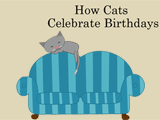 How Cats Celebrate Birthdays 