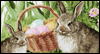 Little Miracles -- Happy Easter eCard from Yahoo! Greetings