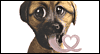 I Love You -- Valentine's Day Love eCard from Yahoo! Greetings