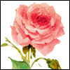 Im Glad Youre My Wife -- Anniversary Greeting Cards project from Yahoo! Greetings