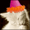 Paw-lickin Good -- Birthday Greeting Cards project from Yahoo! Greetings