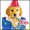 Were Gonna Party! -- Birthday Greeting Cards project from Yahoo! Greetings