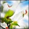 Thinking of You at Easter -- Everyday Easter Greeting Cards project from Yahoo! Greetings