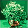 Theres No Place Quite Like Ireland -- St. Patrick's Day Everyday Greeting Cards project from Yahoo! Greetings