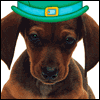 Put on Your Party Hat -- St. Patrick's Day Party Invitations project from Yahoo! Greetings