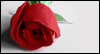 Longing for You -- Intimate Moments Love and Dating eCard from Yahoo! Greetings
