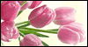 Spring Has Sprung -- Celebrate Spring eCard from Yahoo! Greetings