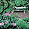 Your Friendship Is a Blessing -- Religious Friendship Greeting Cards project from Yahoo! Greetings