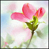Warm Easter Memories -- Kids Easter Greeting Cards project from Yahoo! Greetings