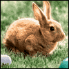 Good Friends Like You -- Friends Easter Card project from Yahoo! Greetings