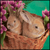 Husband and Special Love -- Significant Other Easter Greeting Cards project from Yahoo! Greetings