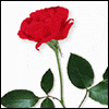 Just You and Me -- Loving You Greeting Cards project from Yahoo! Greetings