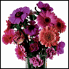 I Love You, Mom -- Mother's Day Greeting Cards For Mom project from Yahoo! Greetings