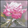 Proud To Be Your Son -- Mother's Day Greeting Cards For Mom project from Yahoo! Greetings