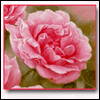 To Mom From Daughter -- Mother's Day Greeting Cards For Mom project from Yahoo! Greetings