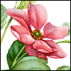 Grandmother Is Loved -- Grandmothers Day Greeting Cards project from Yahoo! Greetings