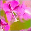 Beautiful Daughter, Mother, Person -- Mother's Day Greeting Cards For Daughters project from Yahoo! Greetings