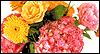 Friendships Dont Just Happen: Free  ecard from Egreetings