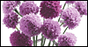 Miss You -- Miss You Friendship eCard from Yahoo! Greetings