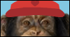 Monkey Golf -- Just for Him Birthday eCard from Yahoo! Greetings