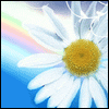 The Lives You've Touched -- Mother's Day For Other Moms project from Yahoo! Greetings