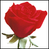As Time Goes By -- Fathers Day Greeting Cards to Husband project from Yahoo! Greetings