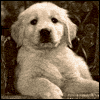 Because Youre Special -- Fathers Day Greeting Cards to Son project from Yahoo! Greetings