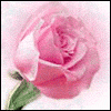 One Simple Truth -- Anniversary Greeting Cards project from Yahoo! Greetings