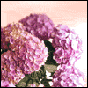Your Special Thoughtfulness -- Everyday Thank You Greeting Card project from Yahoo! Greetings