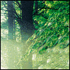 He Will Be Remembered -- Loss of Loved Ones Sympathy Greeting Cards project from Yahoo! Greetings