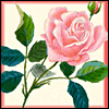 She Will Be Remembered -- Loss of Loved Ones Sympathy Greeting Cards project from Yahoo! Greetings