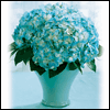 Wonderful Mother and Grandmother -- Mother's Day Greeting Cards For Mom project from Yahoo! Greetings