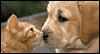 You'll Always Be There -- Friendship eCard from Yahoo! Greetings
