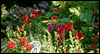 Your Friendship is a Blessing -- Friendship eCard from Yahoo! Greetings