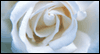 God, the Best Maker of Marriages -- Wedding Congratulations eCard from Yahoo! Greetings