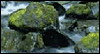 Wishing You Happiness --  eCard from Yahoo! Greetings